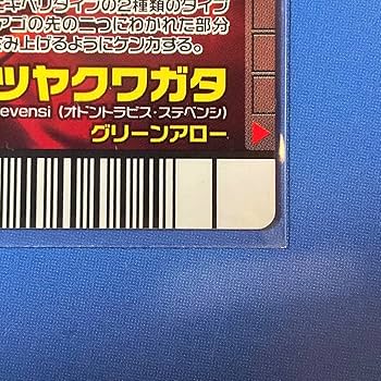 ふわチョコ◆絶対王者の糖度◆160㎝＝超・ドワーフナムワ・キング◆耐寒強 楽天市場】健康維持 元気 サプリ 霊芝 12000mg 高配合 れいし